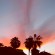 Cabo Sunset