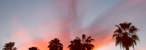 Cabo Sunset